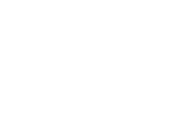 Automir Germany